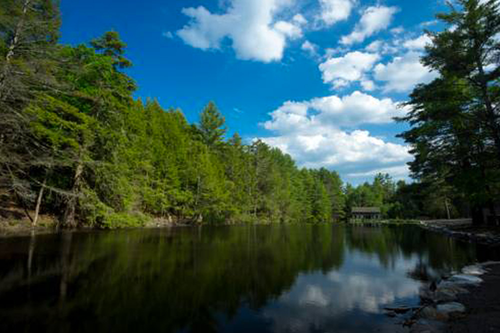 Cottage in the Pines in Sparrowbush NY.jpg