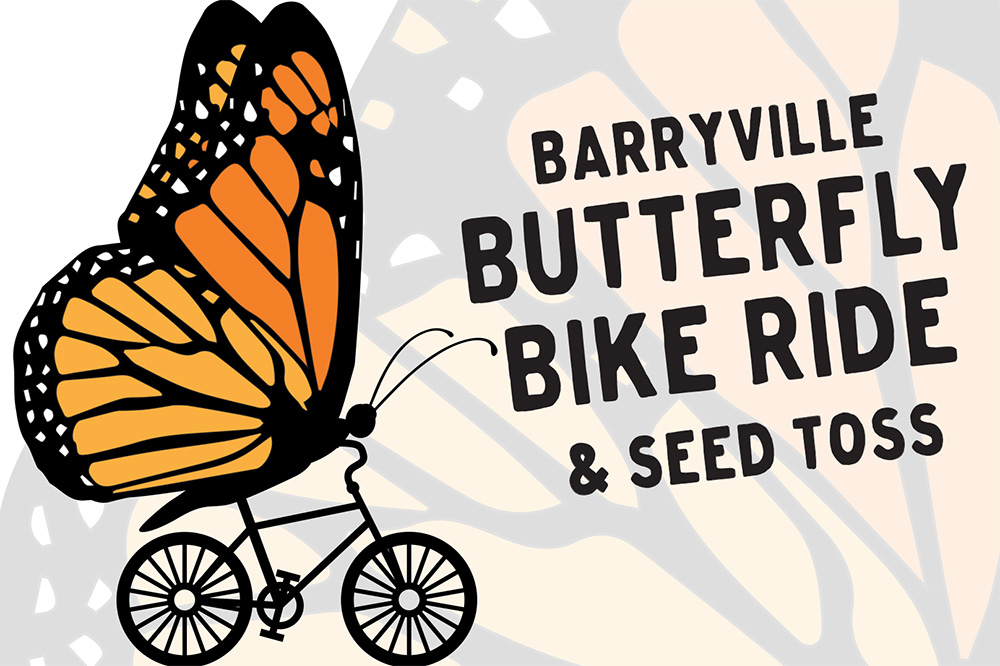 barryville-butterfly