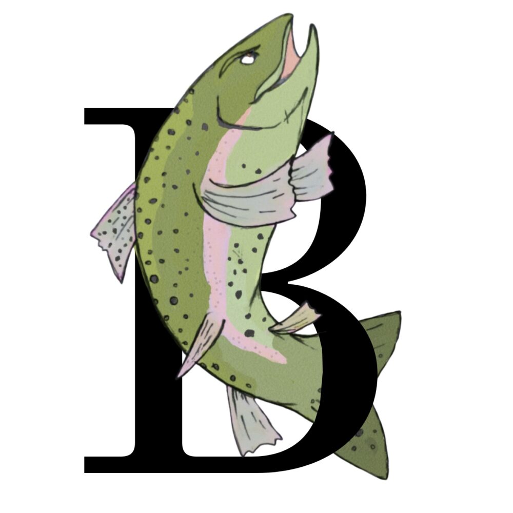barryville trout_Laz