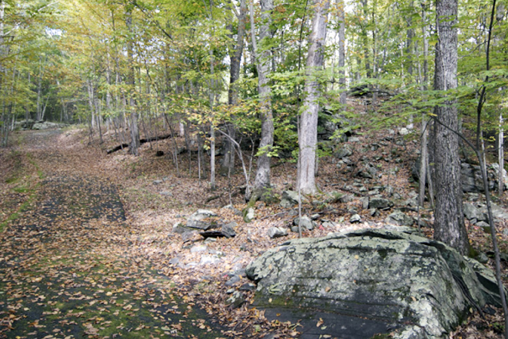 hiking trails and picnic tables