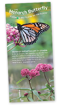 monarch brochure