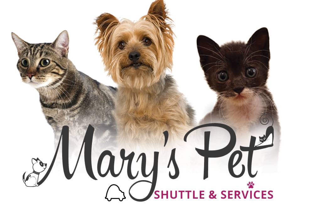 Mary's Pet Shuttle